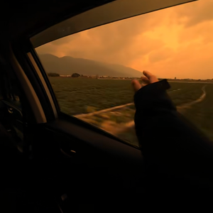 人生若只如初见