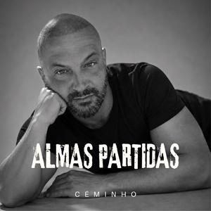 Almas partidas