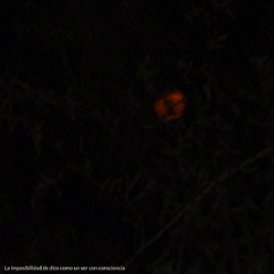 La Imposibilidad de Dios Como un Ser Con Consciencia