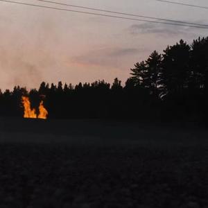 如果（Prod by牙刷-0）