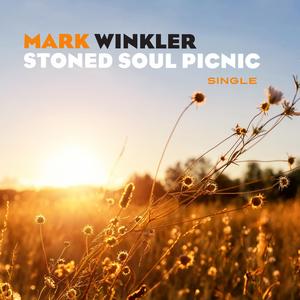 Stoned Soul Picnic (Single)