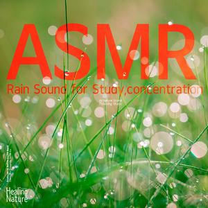 급한 마음을 내려놓아 보세요, 겨울 빗소리 (팀 말리부)