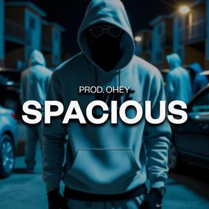 SPACIOUS