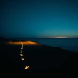 끝까지 걷는 길