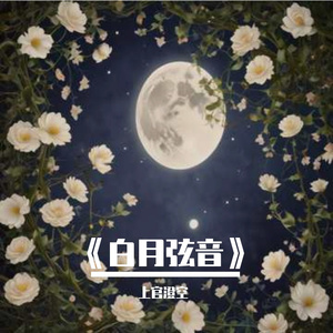 《白月弦音》