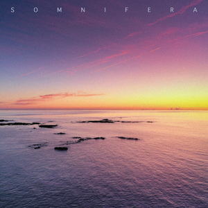 Calm Horizon