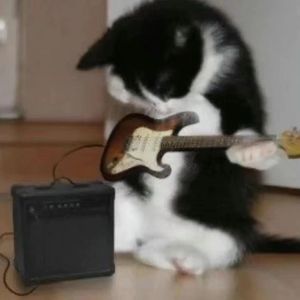 原谅我不懂你的悲伤