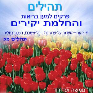 תהילים פֶּרֶק לח