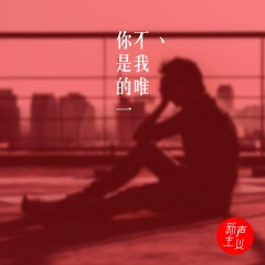 你不是我的唯一