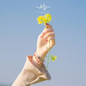 梦境的森林 (催眠+自然声)