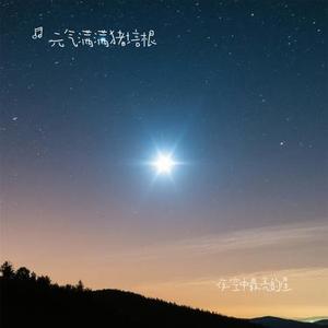 夜空中最亮的星 (元气满满猪培根 Remix)