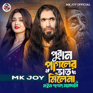 পুরান পাগলের ভাত মিলেনা নতুন পাগল আমদানি