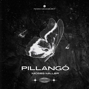 Pillangó