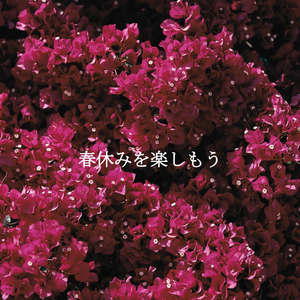 Cheerful Calming Relief