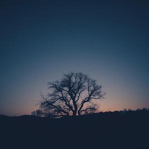 幸せであれ 別れても 君の幸せだけを by @nakimusi