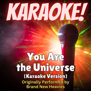 You Are the Universe (Karaoke Version Originally Performed by Brand New Heavies)