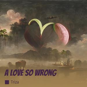 A Love so Wrong