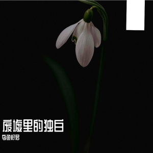 废墟里的独白