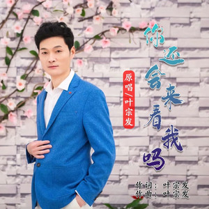 你还会来看我吗