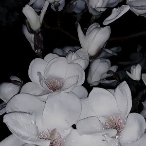 开始结束(prod by indy)