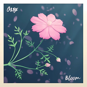 Bloom