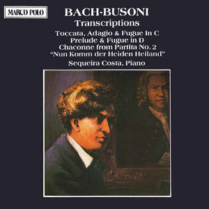 Violin Partita No. 2 in D Minor, BWV 1004: V. Chaconne  (arr. F. Busoni for piano):Violin Partita in D Minor, BWV 1004: V. Chaconne (trans. F. Busoni)