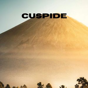 CUSPIDE
