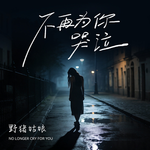 不再为你哭泣