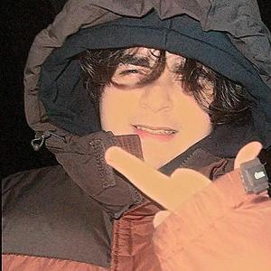 Автостопом