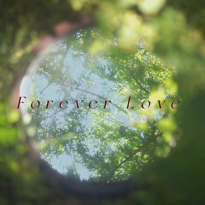 Forever Love
