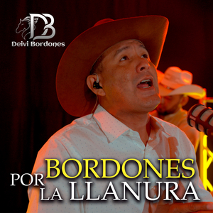 Bordones por la Llanura: Golpecito Campesino/Camino que Vas Pa'l Fundo/La Muerte del Caporal/Voy a tener que Olvidarla/No la quiero ni en Pintura/Me Voy Mañana/Si Dios me Diera el Permiso