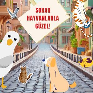 Sokak Hayvanlarla Güzel