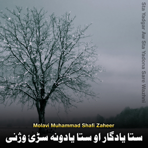 Dalta Sho Ar Kafir Taslim