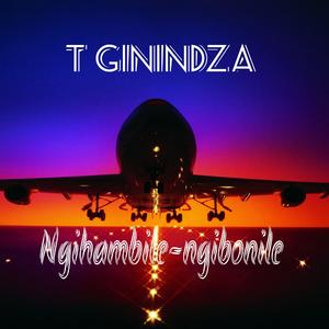 Ngihambile-ngibonile