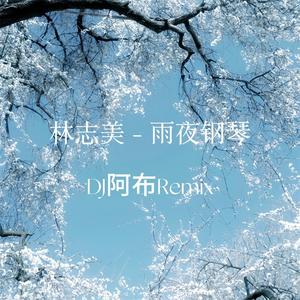 雨夜钢琴（DJ阿布Remix）