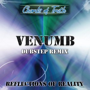 What Life Is About (Venumb Dubstep Remix)