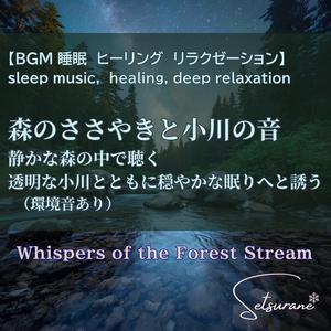 樹冠の下の夢ーDream Beneath the Canopy