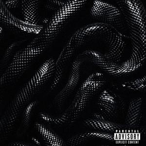 SN8KE (feat. Runitskai & Wickk)