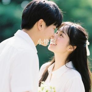 小情歌