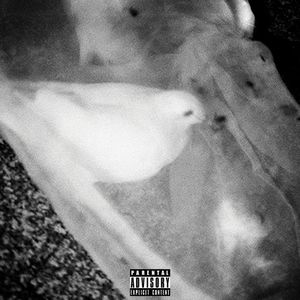 传奇Legend （feat.崔赫_Trippin'$age）（Prod.9Zi）