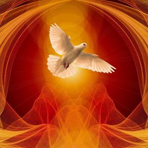 ahora es asi de adorable my joly joly