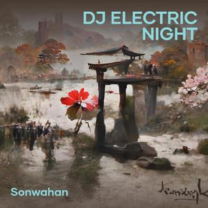 Dj Electric Night