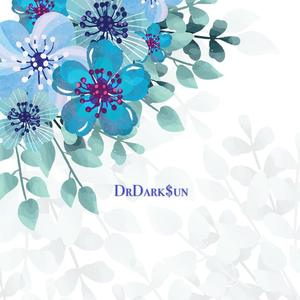 Martin Jensen-Solo Dance (DrDark$un Chinese Style Boolteg Mix)（DrDark$un remix）