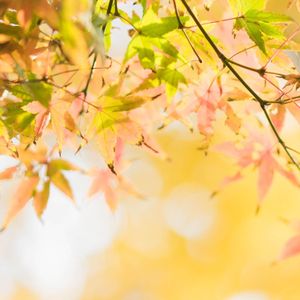 万家灯火-整曲 伴奏