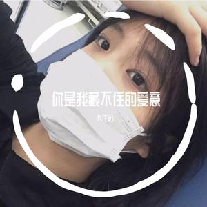 心做（翻自 GUMI）