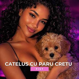 Catelus cu paru cretu