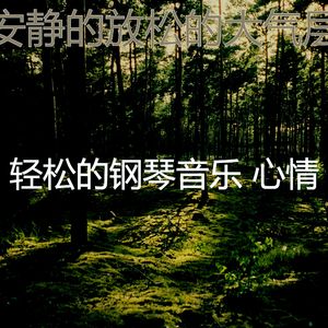 优美放松的器乐