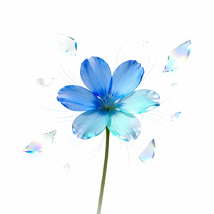 逆光花