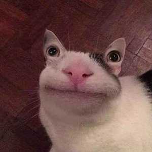 一种感觉（翻唱童可可）