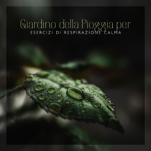 Suono della pioggia della porta